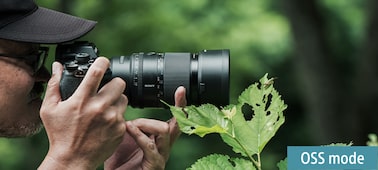 Eldeki bir böceği kovalayan kullanıcıyı gösteren kullanım görüntüsü