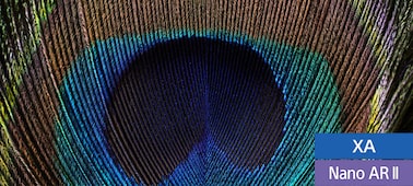 Çözünürlüğü gösteren, tavus kuşu tüyünün yakın çekimi