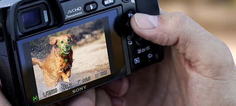 ILCE-6000L Teknik Özellikleri | Dijital Fotoğraf Makineleri | Sony